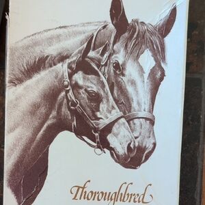 Thoroughbred Horse Sketch Stationery Set - Brown